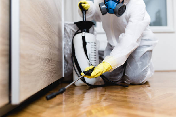 Best Mosquito Control Services  in Malvern, OH