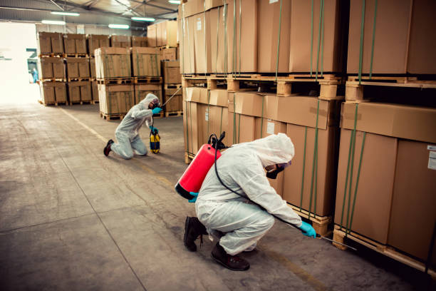 Best Best Pest Control Near Me  in Malvern, OH