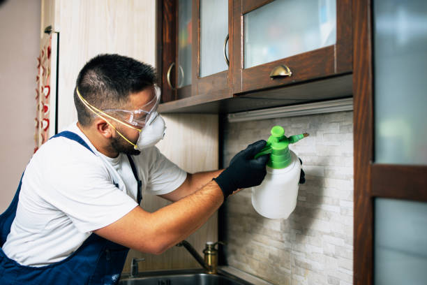 Best Pest Prevention Services  in Malvern, OH