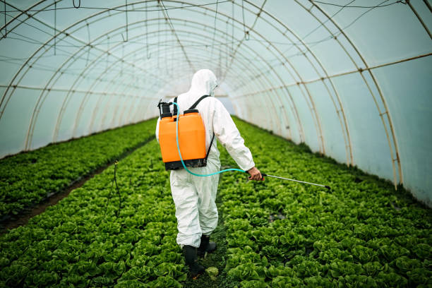 Reliable Malvern, OH Pest Control Solutions