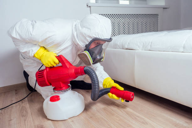 Best Pest Removal Services  in Malvern, OH