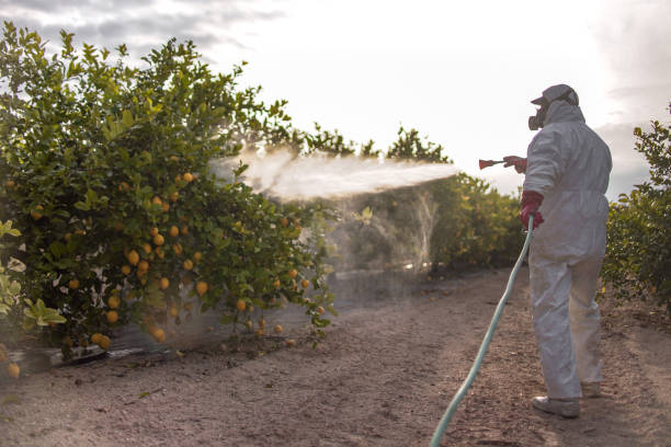 Best Residential Pest Control  in Malvern, OH