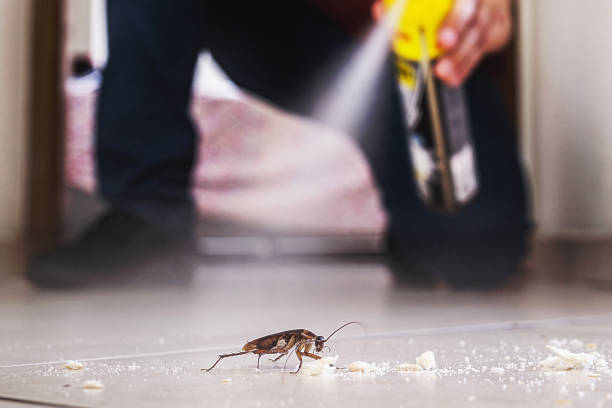 Wildlife Control Services in Malvern, OH