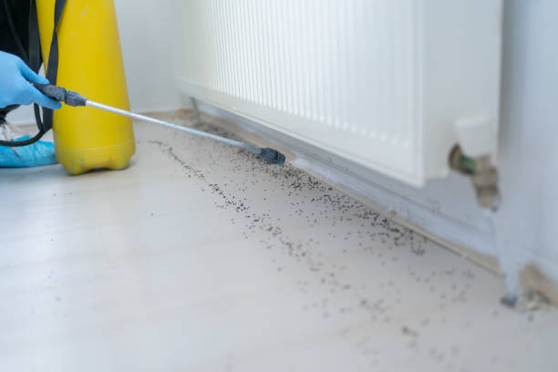 Best Affordable Pest Control Services  in Malvern, OH