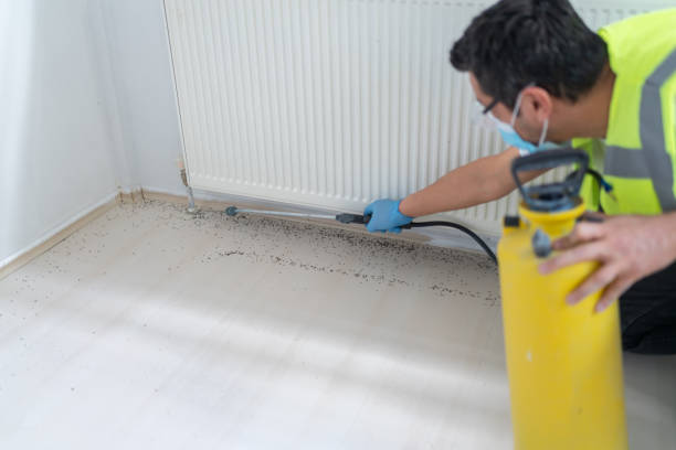 Best Local Pest Control Services  in Malvern, OH