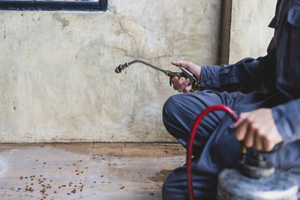 Best Wasp Removal Services  in Malvern, OH